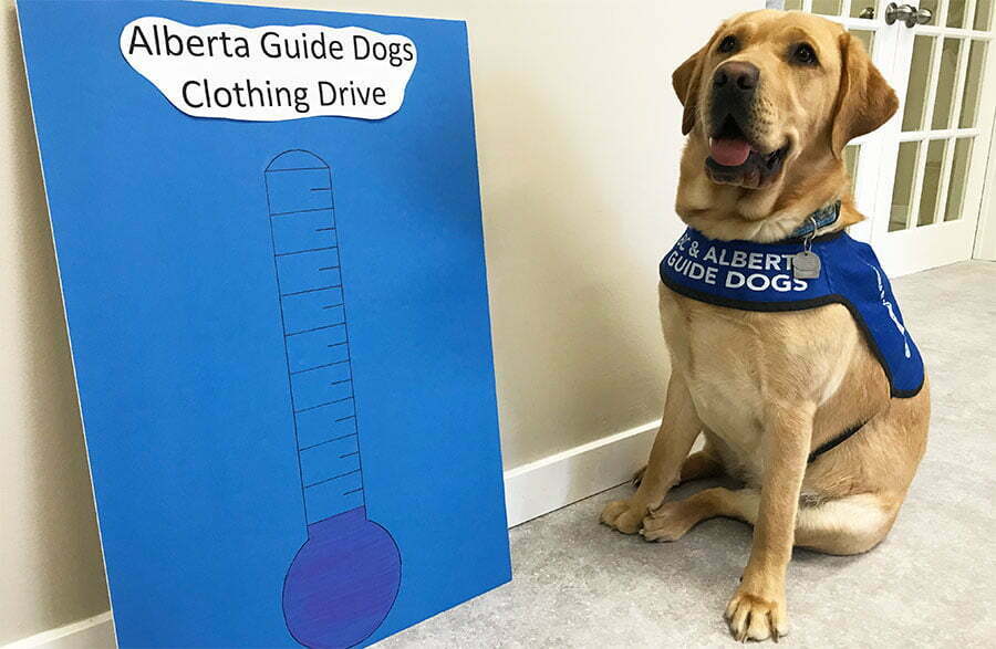 Spring cleaning for a cause! Alberta Guide Dogs is having a donation drive